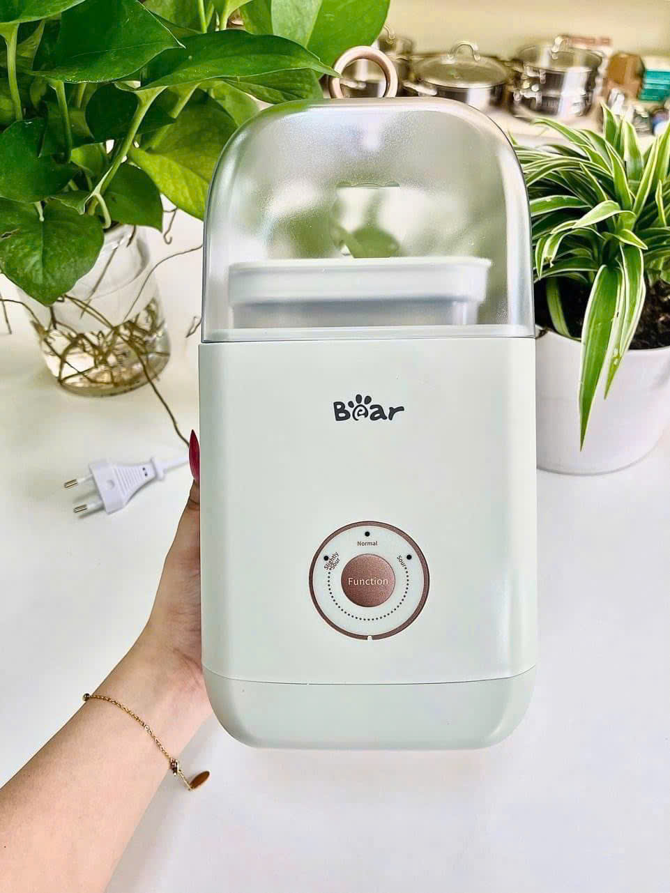Máy làm sữa chua Bear SB-SC12C