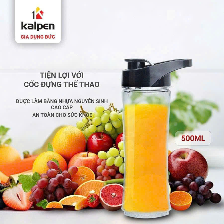 MÁY XAY SINH TỐ CAO CẤP KALPEN B6