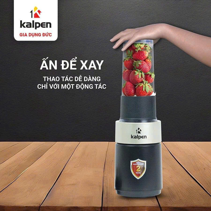MÁY XAY SINH TỐ CAO CẤP KALPEN B6