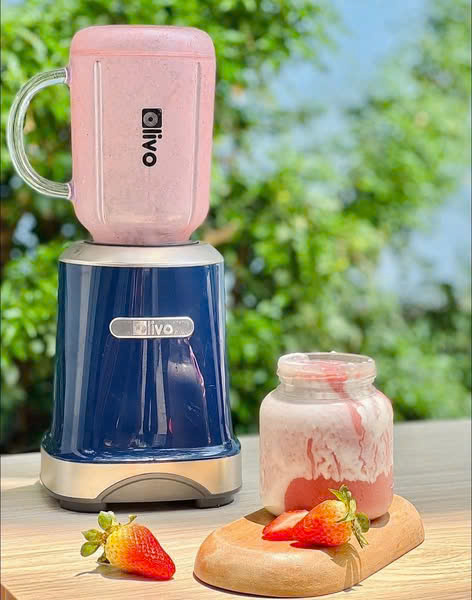 Máy xay sinh tố Olivo MB300