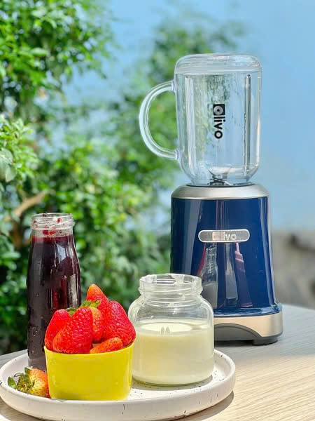 Máy xay sinh tố Olivo MB300