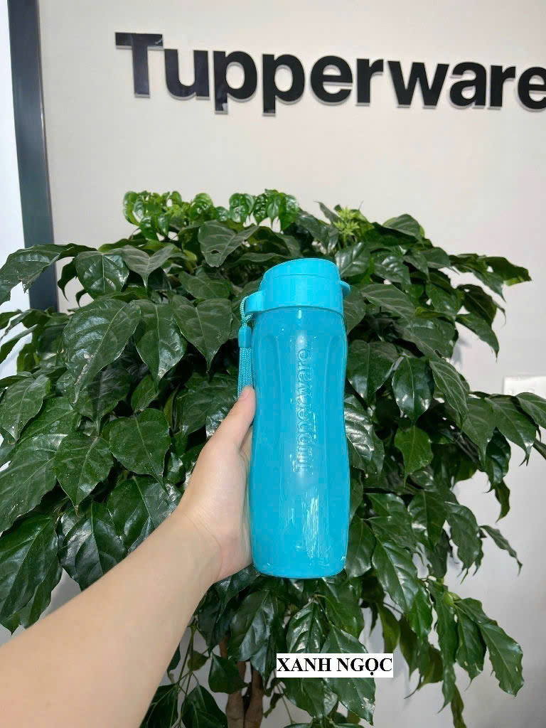 Bình nước Eco Bottle 500ml Tupperware