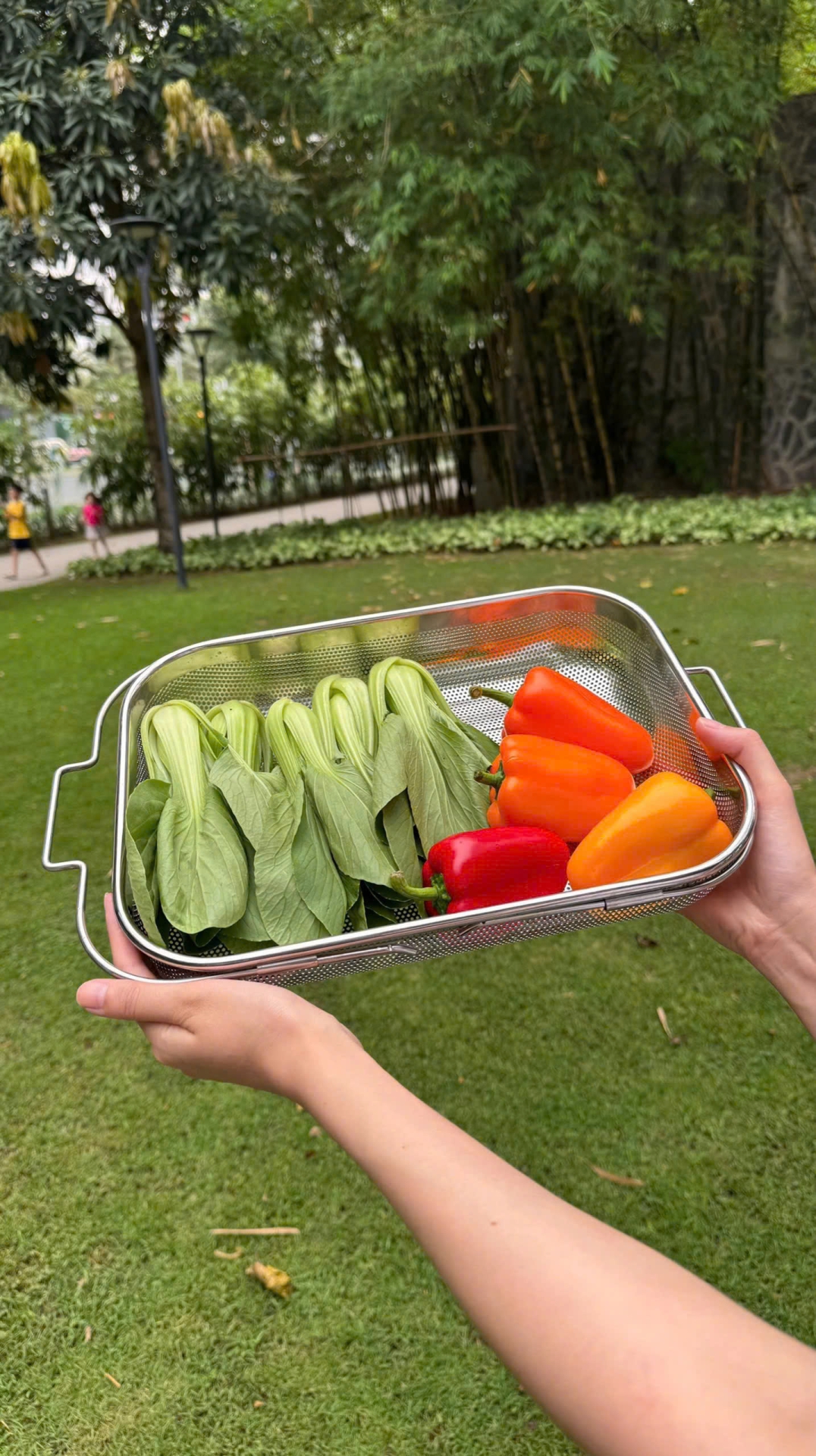 Rổ inox gác bồn rửa điều chỉnh độ dài Kaiyo