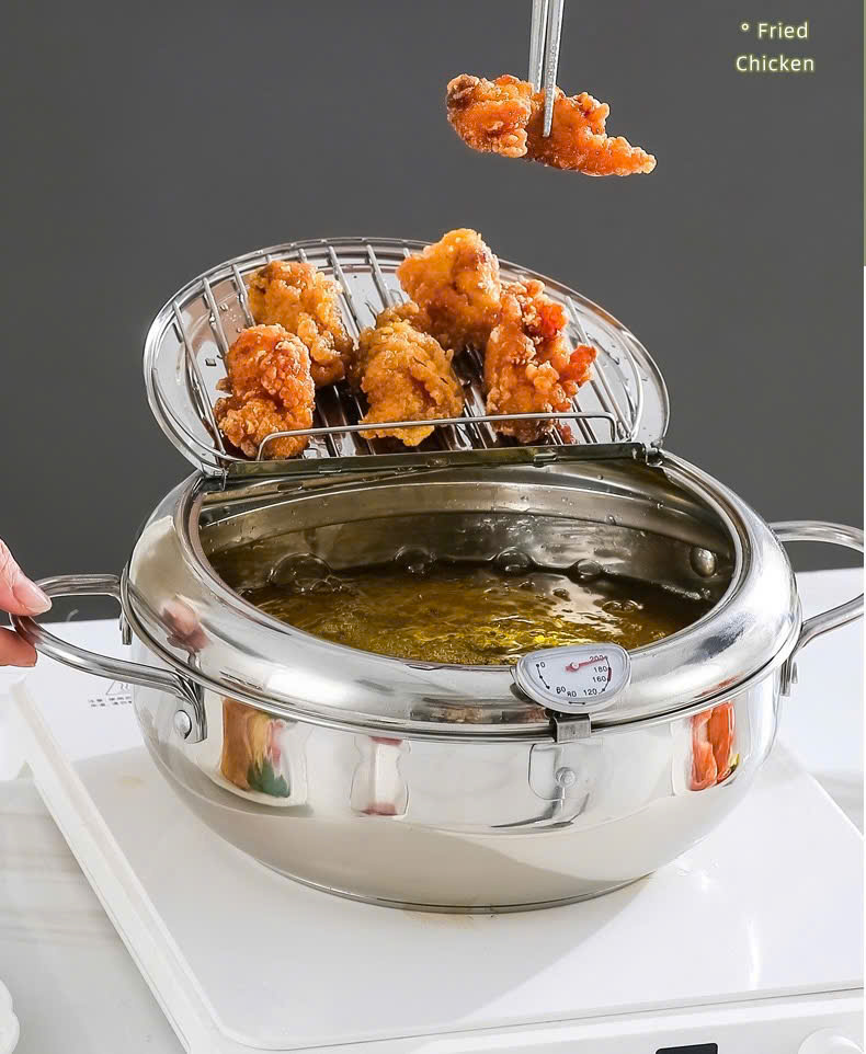 Nồi chiên ngập dầu Fryer Pot