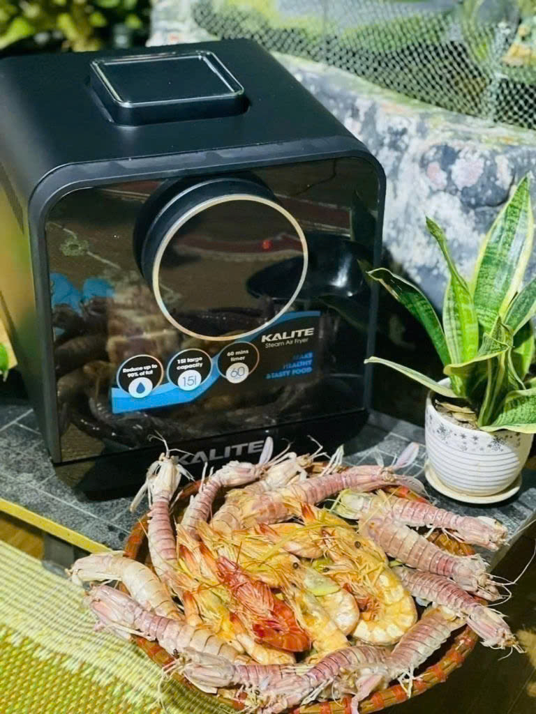 Nồi chiên hơi nước chính hãng KALITE steam star