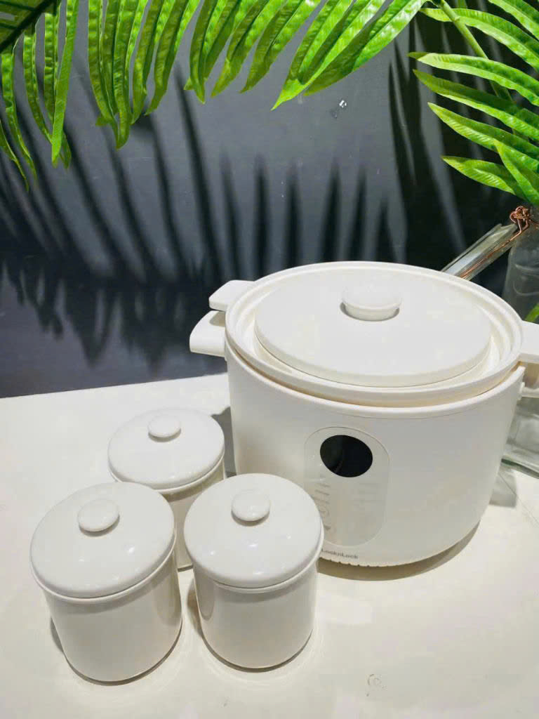 Nồi nấu chậm đa năng Locknlock Bianco Multi-function Slow Cooker 2.5L EJP164IVY