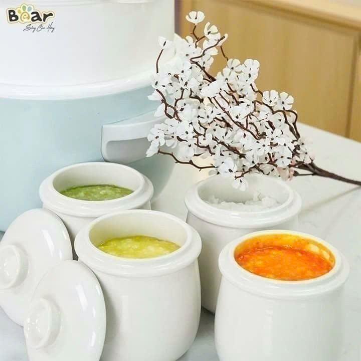 NỒI NẤU CHẬM 2.5L BEAR SUBE003