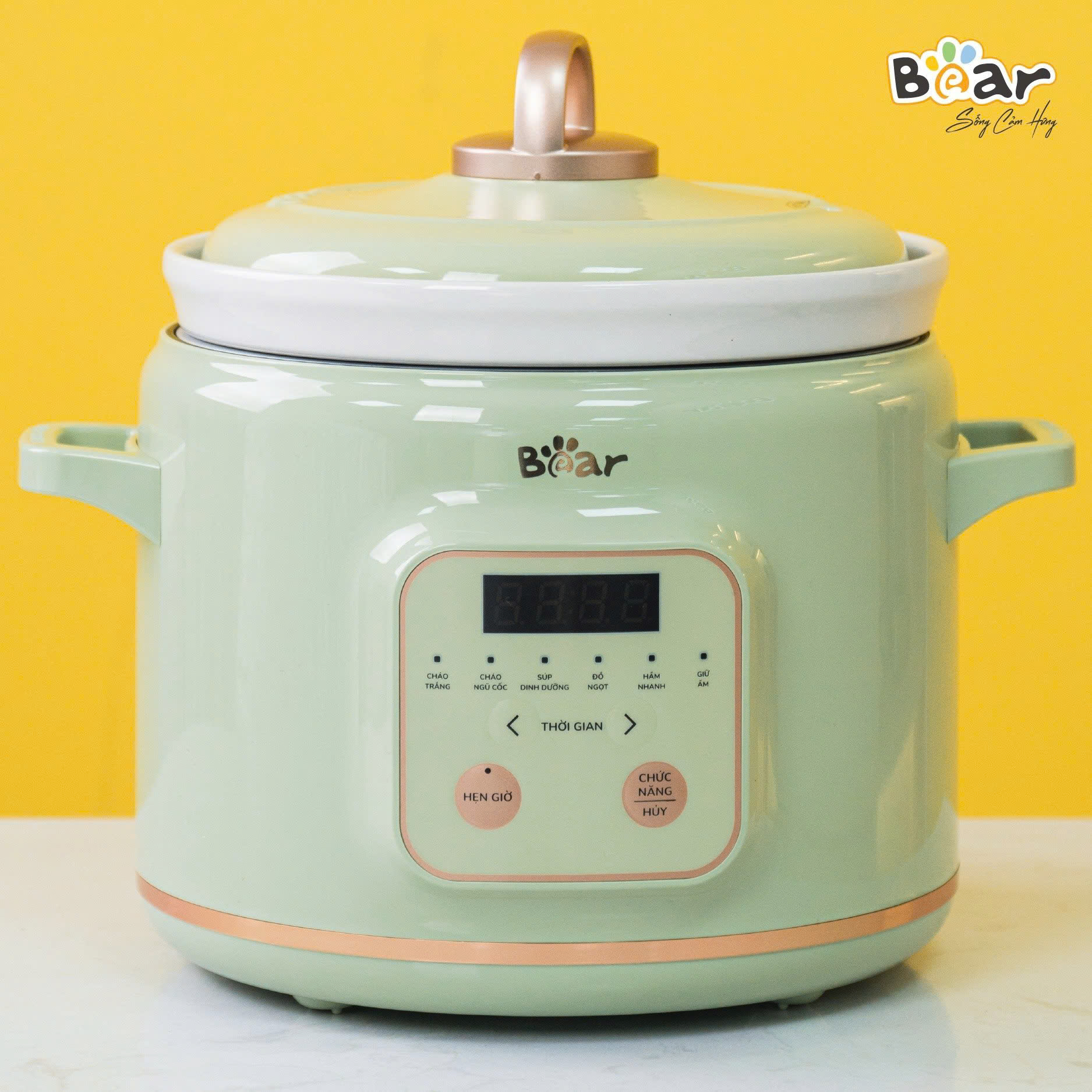 Nồi nấu chậm SB-NNC20
