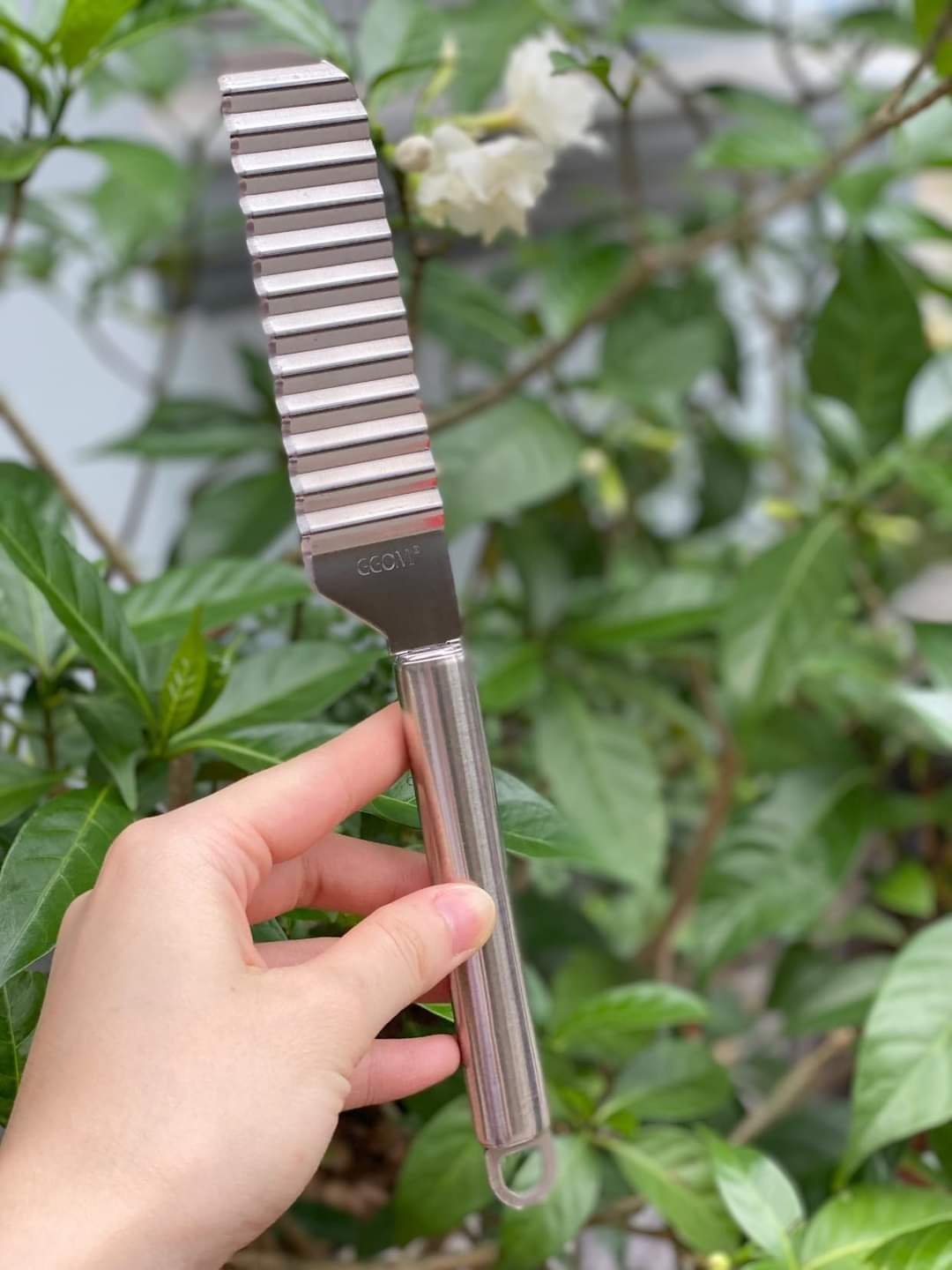 DAO THÁI TẠO HÌNH THỰC PHẨM Hàn Quốc GGOMI GG353