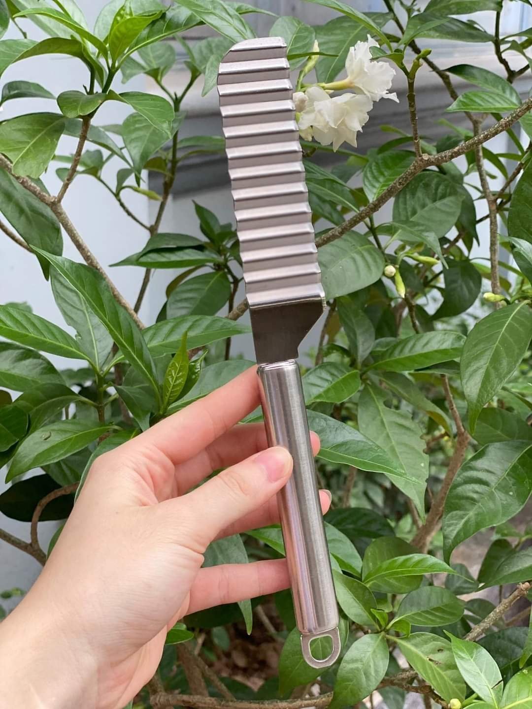 DAO THÁI TẠO HÌNH THỰC PHẨM Hàn Quốc GGOMI GG353