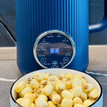 MÁY LÀM SỮA HẠT MINI DUNG TÍCH 1.2L KALITE KCB12B