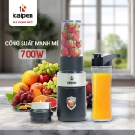MÁY XAY SINH TỐ CAO CẤP KALPEN B6