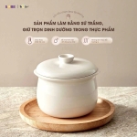 Nồi nấu chậm Bear SB-NNC08