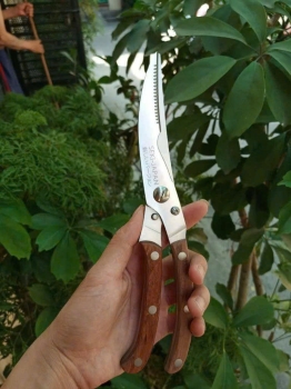 SET DAO senki NHẬT bản 4 MÓN CAO CẤP