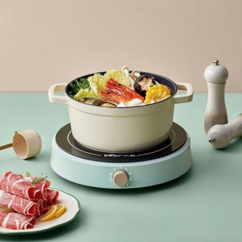 Bếp Từ Bear SB-BT21W