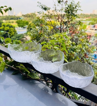 Set 3 bát thuỷ tinh màu Omber