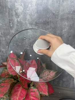 NỒI LẨU ĐIỆN KALPEN P11 DUNG TÍCH 4L