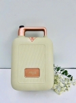 Máy nướng bánh 2 khay Bear DBC-C06M1
