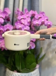 Nồi hấp điện chống dính kèm xửng hấp Arber 19cm