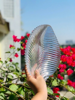 ĐĨA THUỶ TINH HÌNH LÁ