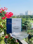 ĐĨA THUỶ TINH HÌNH LÁ - 1 set 3 cái