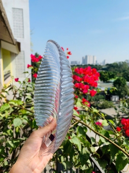 ĐĨA THUỶ TINH HÌNH LÁ - 1 set 3 cái
