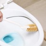 Chổi cọ toilet xơ dừa Towa Nhật Bản